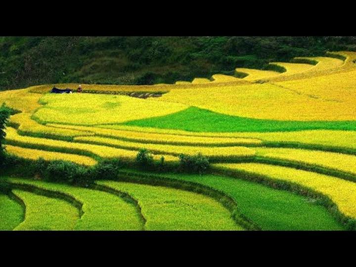 Từ Nhà Sáng Tạo Nhỏ Bé Đến Doanh Nghiệp Lớn Mạnh: Chinh Phục Thị Trường Video Ngắn Cùng Hotspot Matrix