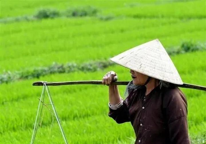 Chấm điểm loạt “green flags” - Cảm hứng video marketing từ Hotspot Matrix