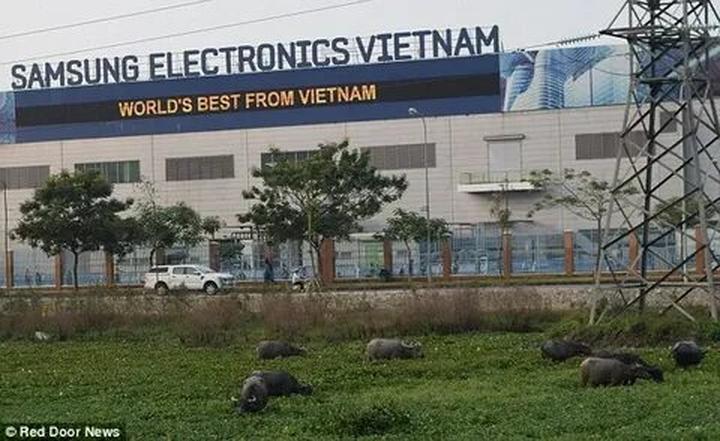 Xu hướng Còn 70k/ngày để mua đồ ăn sau: Hotspot Matrix tiết lộ bí quyết video viral